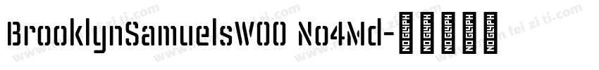 BrooklynSamuelsW00 No4Md字体转换